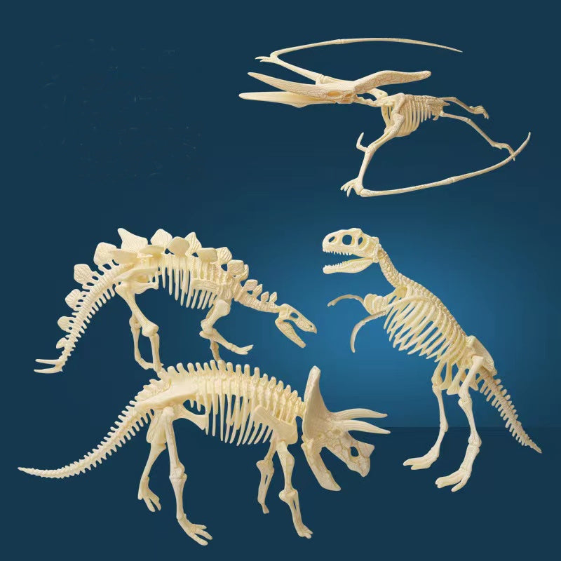 Fossils de Dinosaures à excaver pour enfant