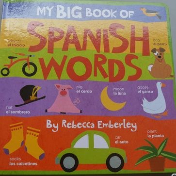 My big book of spanish words