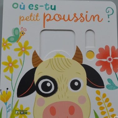 Où es -tu petit coussin – livre animé